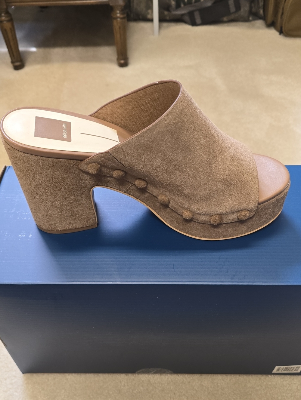 Dolce Vita EMOL Suede Platform Mule